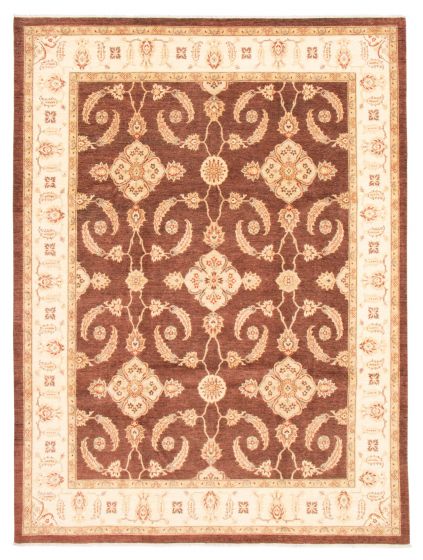 Bordered  Traditional Brown Area rug 9x12 Pakistani Hand-knotted 362942