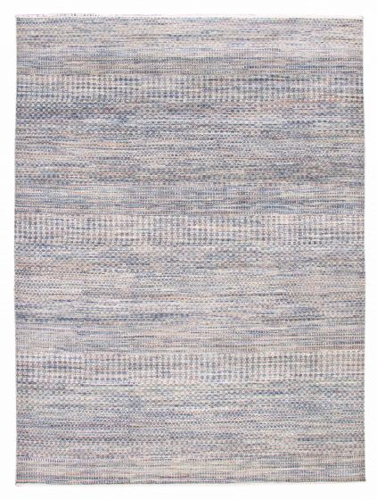Transitional Blue Area rug 10x14 Indian Hand-knotted 377227