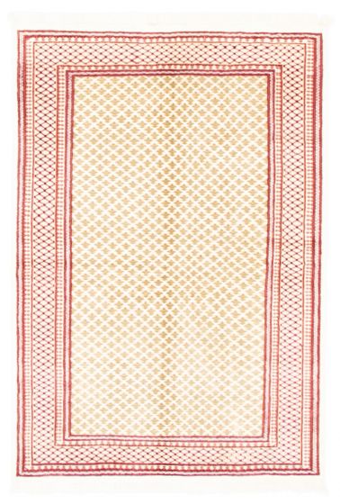 Bordered  Tribal Ivory Area rug 4x6 Indian Hand-knotted 348681