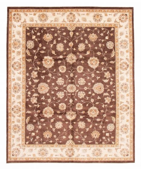 Bordered  Traditional Brown Area rug 6x9 Afghan Hand-knotted 379170