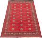 Bordered  Tribal Red Area rug 5x8 Pakistani Hand-knotted 305740