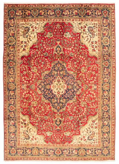 Bordered  Traditional Red Area rug 6x9 Persian Hand-knotted 324817
