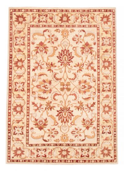 Bordered  Traditional Ivory Area rug 6x9 Afghan Hand-knotted 379156