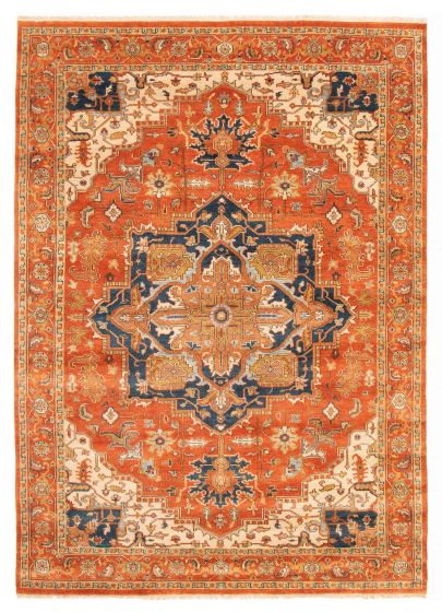 Bordered Traditional Brown Rectangle 8x10 Indian Hand-knotted 415161