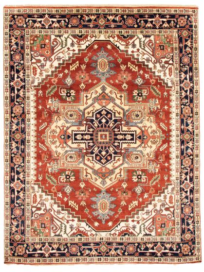 Bordered  Traditional Brown Area rug 9x12 Indian Hand-knotted 344084