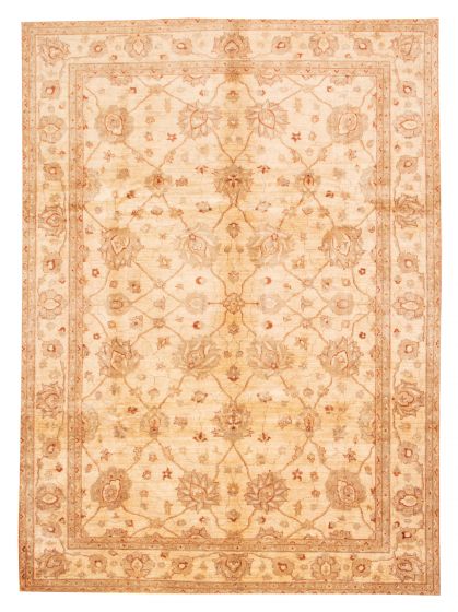 Bordered  Traditional Ivory Area rug 9x12 Afghan Hand-knotted 374396