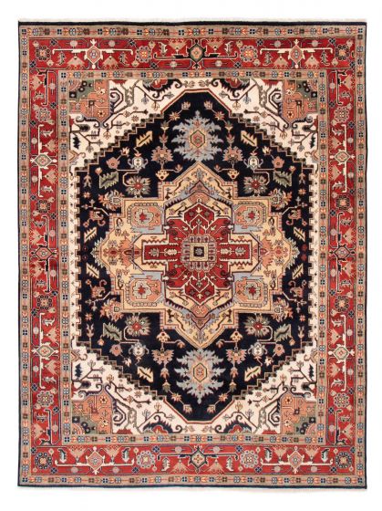 Bordered  Traditional Blue Area rug 9x12 Indian Hand-knotted 377605