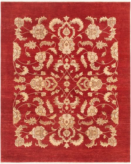 Bordered  Traditional Red Area rug 6x9 Pakistani Hand-knotted 282645