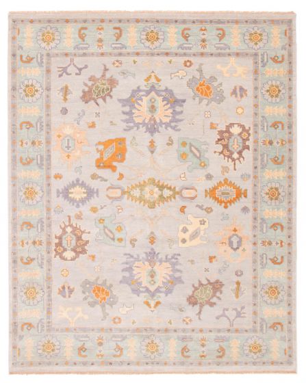 Bordered  Transitional Grey Area rug 6x9 Indian Hand-knotted 377459
