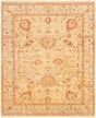 Bordered  Traditional Ivory Area rug 6x9 Indian Hand-knotted 294370