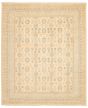 Bordered  Transitional Ivory Area rug 6x9 Pakistani Hand-knotted 338760