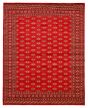 Bordered  Traditional Red Area rug 6x9 Pakistani Hand-knotted 363275