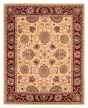Bordered  Traditional Ivory Area rug 6x9 Chinese Hand Tufted 392035