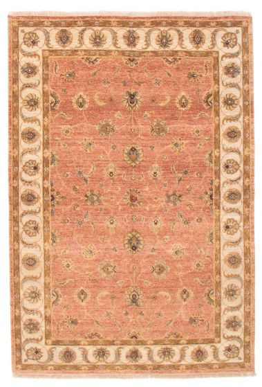 Bordered  Tribal Brown Area rug 5x8 Indian Hand-knotted 373816