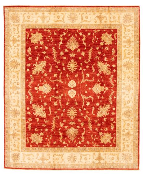 Bordered  Traditional Red Area rug 6x9 Afghan Hand-knotted 346325