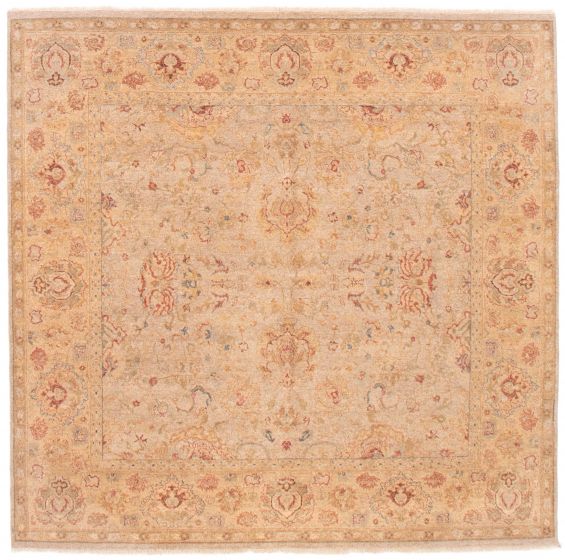 Bordered  Traditional Ivory Area rug Square Pakistani Hand-knotted 373813