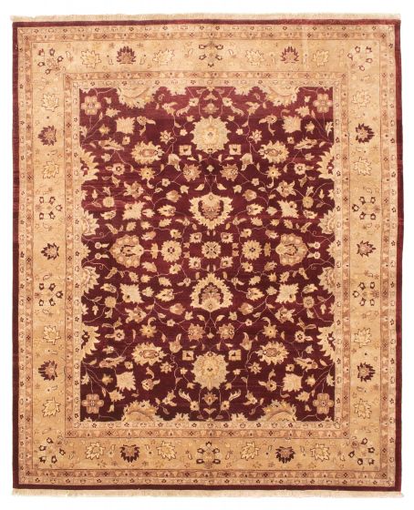 Bordered  Traditional Red Area rug 6x9 Afghan Hand-knotted 318104