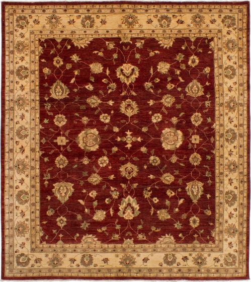 Bordered  Traditional Red Area rug 6x9 Afghan Hand-knotted 268397