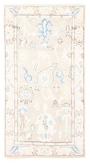 Bordered  Transitional Grey Area rug 3x5 Pakistani Hand-knotted 382092