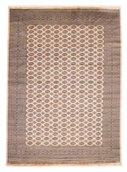 Bordered  Tribal Ivory Area rug 10x14 Pakistani Hand-knotted 381739