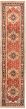 Bordered  Transitional Brown Runner rug 12-ft-runner Indian Hand-knotted 336546
