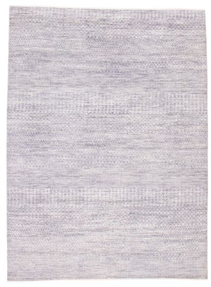 Transitional Grey Area rug 9x12 Indian Hand-knotted 377270