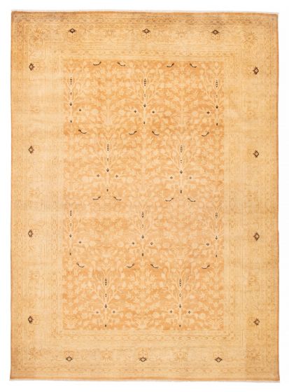 Bordered  Transitional Brown Area rug 9x12 Pakistani Hand-knotted 391536