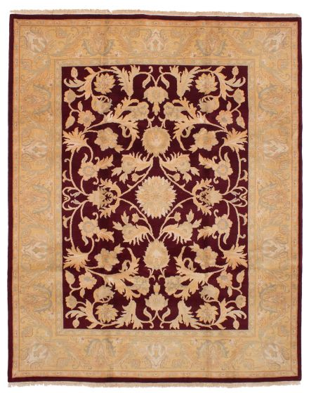 Bordered  Southwestern Red Area rug 6x9 Indian Hand-knotted 253552