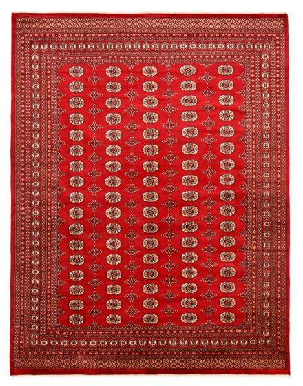 Bordered  Traditional Red Area rug 6x9 Pakistani Hand-knotted 363272