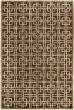 Carved  Transitional Brown Area rug 5x8 Nepal Hand-knotted 284462
