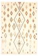 Moroccan  Tribal Ivory Area rug 10x14 Pakistani Hand-knotted 339529