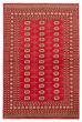Bordered  Traditional Red Area rug 5x8 Pakistani Hand-knotted 364240