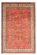 Bordered  Traditional Red Area rug 6x9 Indian Hand-knotted 373145