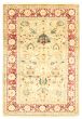 Bordered  Traditional Blue Area rug 5x8 Pakistani Hand-knotted 336507