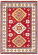 Bordered  Traditional Red Area rug 5x8 Indian Hand-knotted 364359