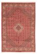 Bordered  Traditional Red Area rug 6x9 Persian Hand-knotted 373389