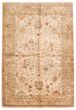 Bordered  Traditional Ivory Area rug 5x8 Indian Hand-knotted 374064