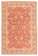 Bordered  Traditional Red Area rug 5x8 Pakistani Flat-Weave 374374