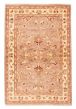 Bordered  Traditional Ivory Area rug 3x5 Pakistani Hand-knotted 379370