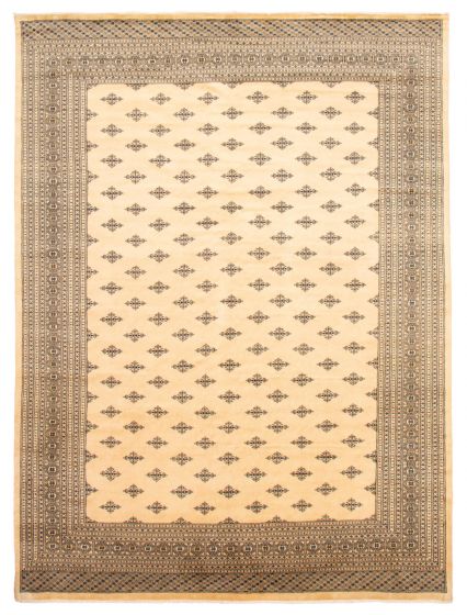 Bordered  Traditional Ivory Area rug 10x14 Pakistani Hand-knotted 363394
