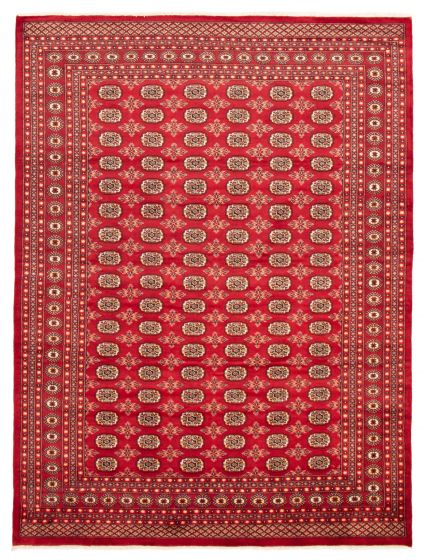 Bordered  Traditional Red Area rug 8x10 Pakistani Hand-knotted 363584