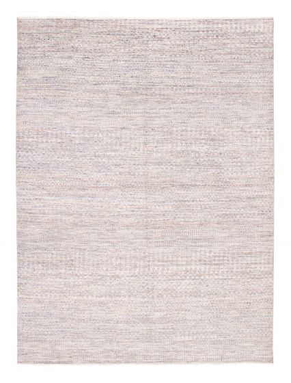 Transitional Grey Area rug 9x12 Indian Hand-knotted 377680
