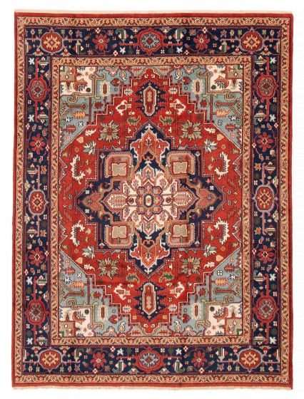 Bordered  Traditional Red Area rug 6x9 Indian Hand-knotted 386716