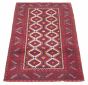 Afghan Royal Baluch 3'1" x 5'11" Hand-knotted Wool Rug 
