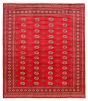 Bordered  Traditional Red Area rug 6x9 Pakistani Hand-knotted 363290