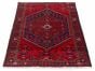 Persian Style 4'2" x 6'3" Hand-knotted Wool Rug 