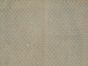 Persian Senneh 3'3" x 5'11" Hand-knotted Wool Grey Kilim