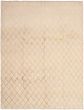 Casual  Transitional Ivory Area rug 9x12 Indian Hand-knotted 299898