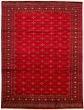 Bordered  Tribal Red Area rug 9x12 Pakistani Hand-knotted 330027