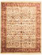 Bordered  Traditional Ivory Area rug 8x10 Indian Hand-knotted 335556